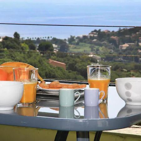 Cap Corse Uribellinu 2 Formule Petit Dejeuner Santa-Maria-di-Lota Εξωτερικό φωτογραφία