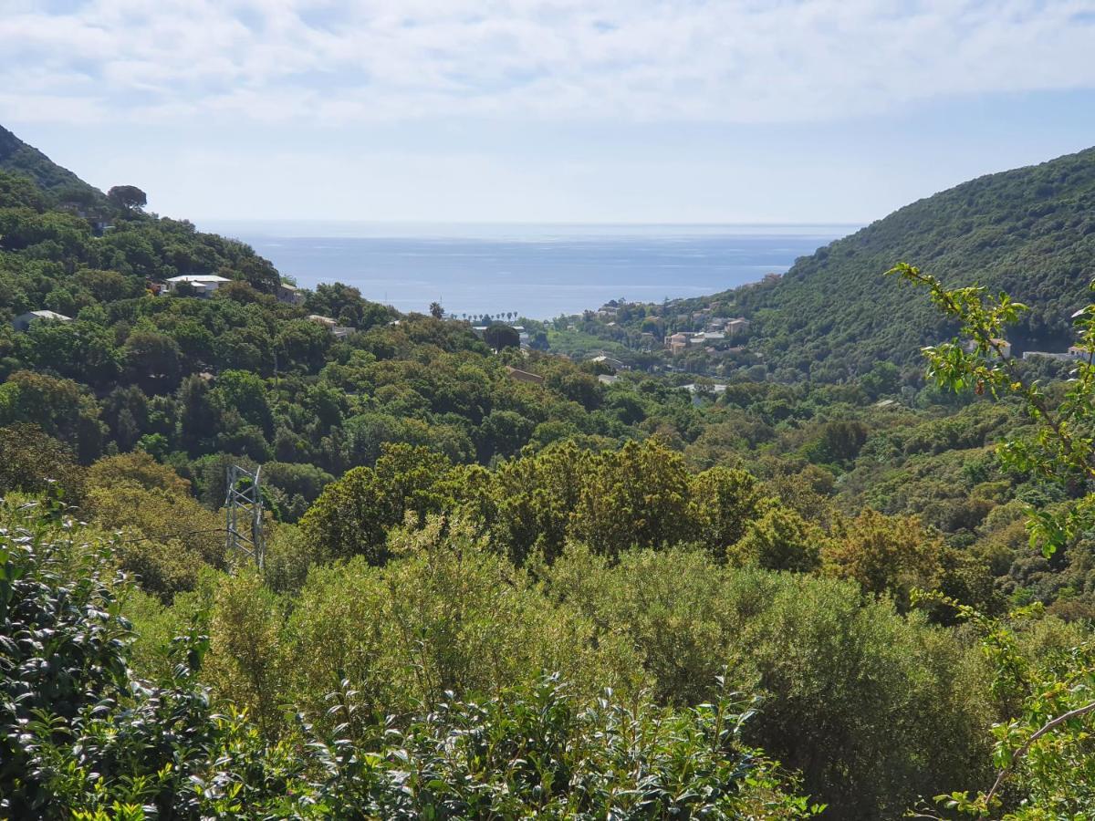 Cap Corse Uribellinu 2 Formule Petit Dejeuner Santa-Maria-di-Lota Εξωτερικό φωτογραφία